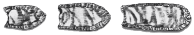 folsom-point-three-bw-v2-400w